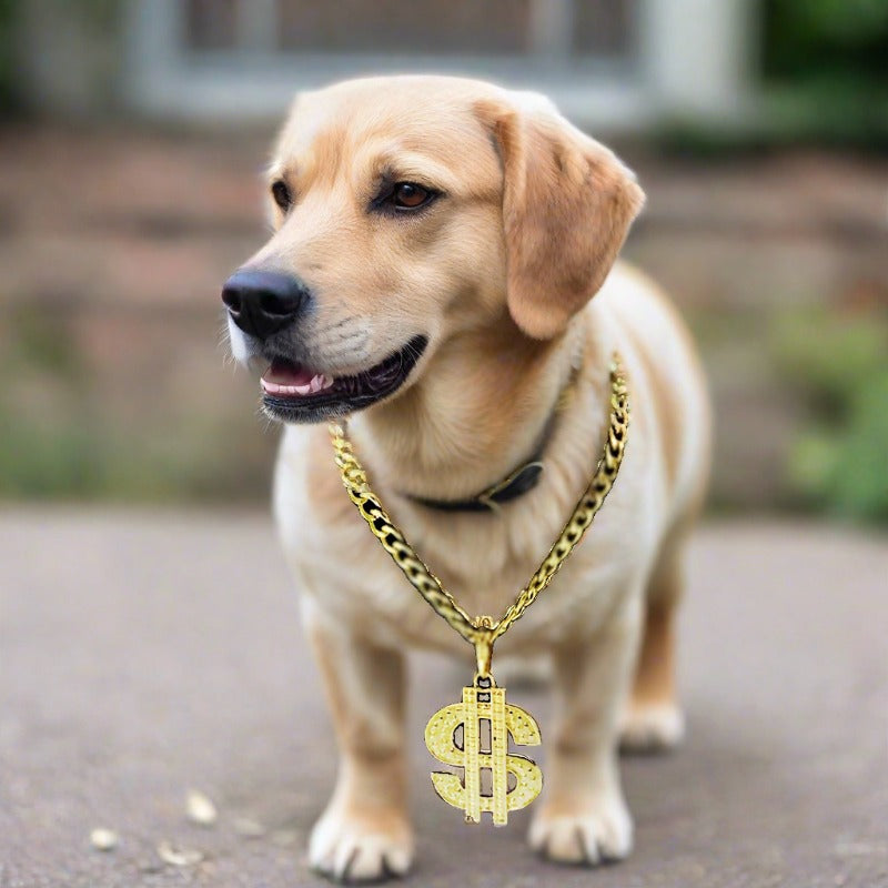 18 inches Gold Chain Dog Money Dollar